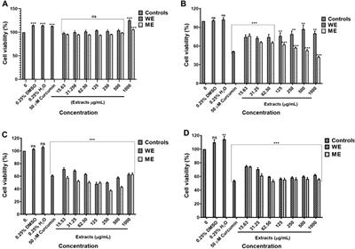 P53-Related Anticancer Activities of Drimia calcarata Bulb Extracts Against Lung Cancer